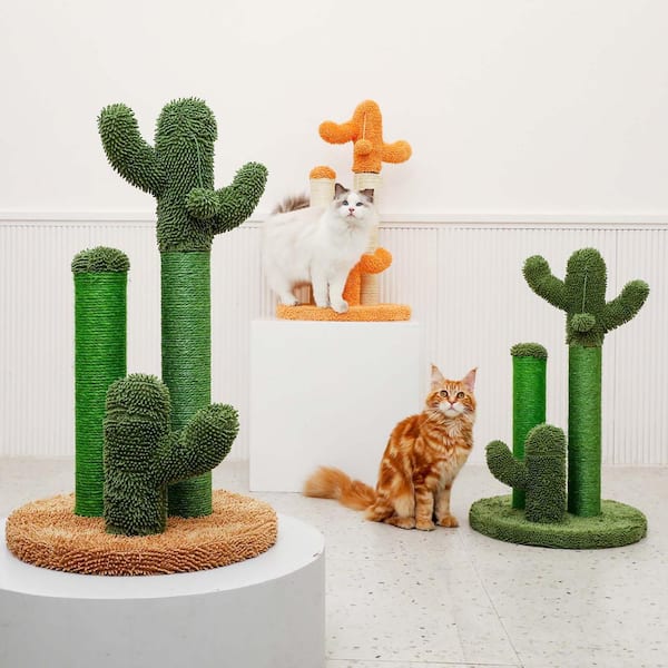 Cactus Southwest Straw Collection – Scratch Decor