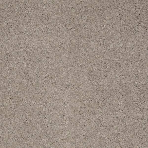 SoftSpring Carpet Sample - Miraculous I - Color Wild Flower Texture 8 in. x 8 in.