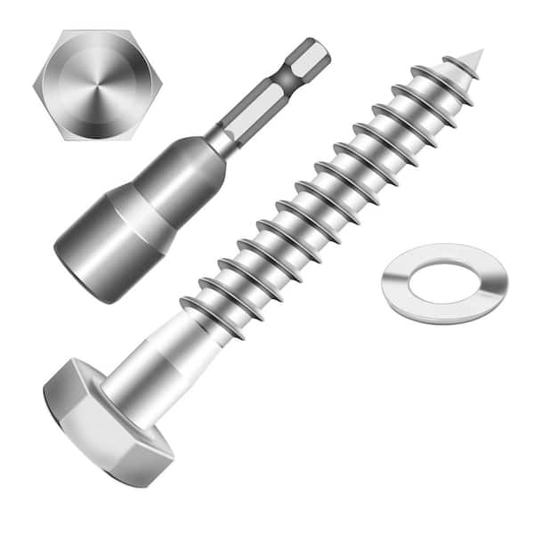 1/4 in. x 2 in. Stainless Steel Hex Drive Hex Head Lag Screws (20-Pack)