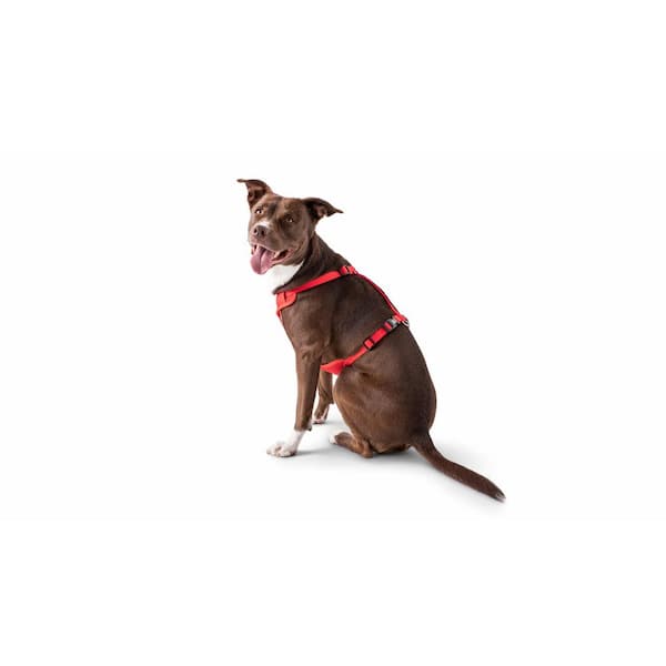 Utv dog outlet harness