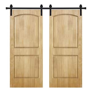 Modern 2Panel-Roman Designed 56 in. x 84 in. Wood Panel Mother Nature Painted Double Sliding Barn Door with Hardware Kit