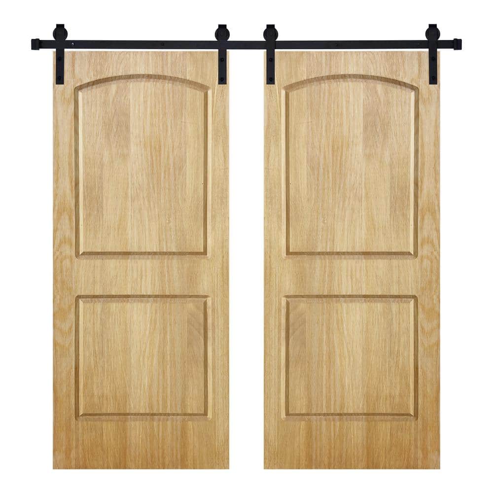 Modern 2Panel-Roman Designed 60 in. x 84 in. Wood Panel Mother Nature Painted Double Sliding Barn Door with Hardware Kit price history on PriceWatchPro
