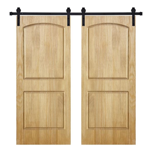 AIOPOP HOME Modern 2Panel-Roman Designed 72 in. x 80 in. Wood Panel Mother Nature Painted Double Sliding Barn Door with Hardware Kit