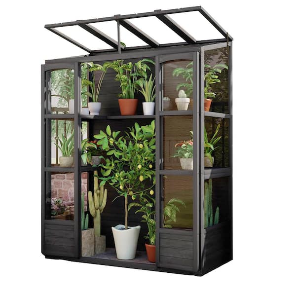 Unbranded - 57.9 in. W x 29.1 in. D x 78.1 in. H Black Wood Greenhouse with 4-Independent Skylights and 2-Folding Middle Shelves