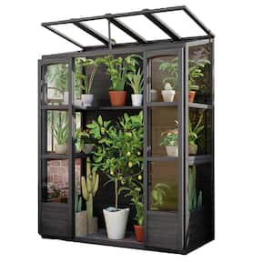 57.9 in. W x 29.1 in. D x 78.1 in. H Black Wood Greenhouse with 4 Independent Skylights and 2 Folding Middle Shelves
