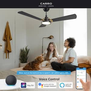 Veter 52 in. Dimmable LED Indoor/Outdoor Black Smart Ceiling Fan with Light and Remote Works with Alexa/Google Home