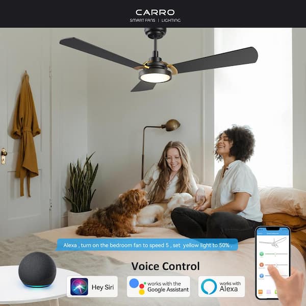 Veter 52 in. Dimmable LED Indoor/Outdoor Black Smart Ceiling Fan with Light and Remote Works with Alexa/Google Home
