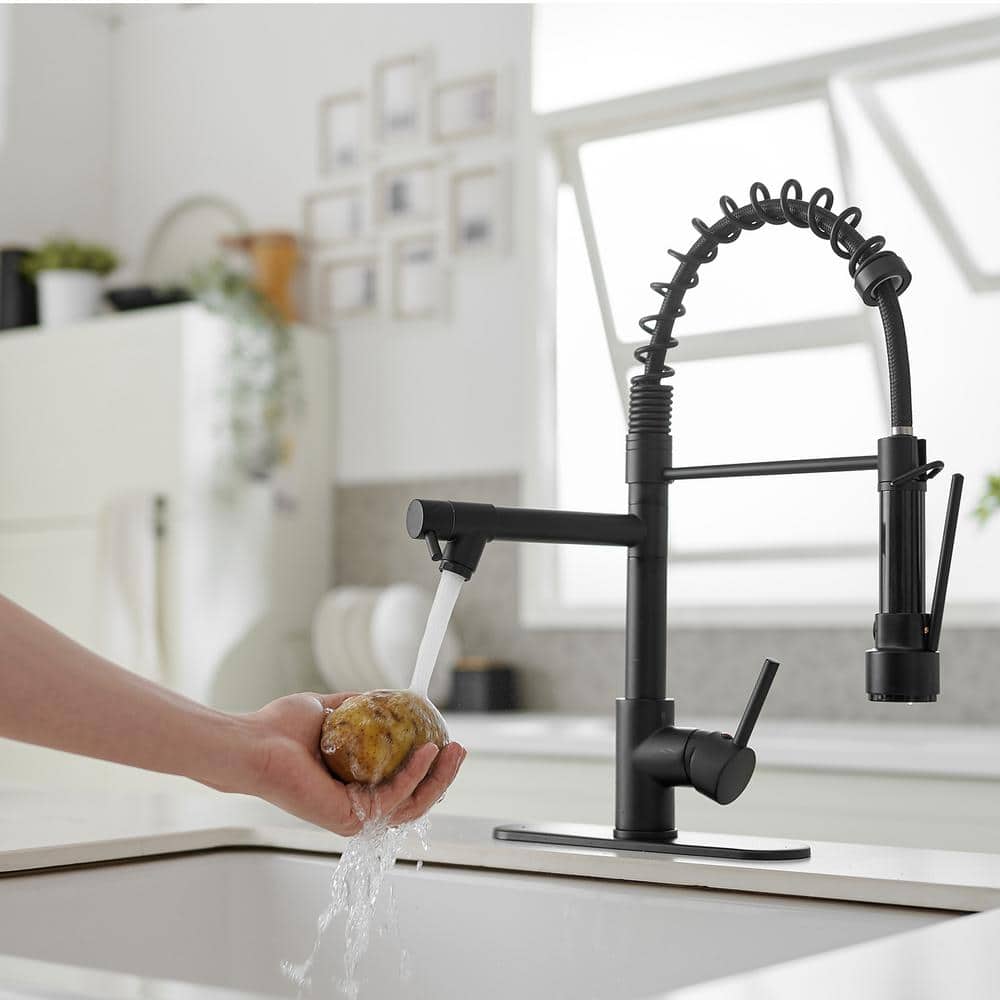 Matte Black High-Arc Kitchen Faucet with Pull-Out Spray