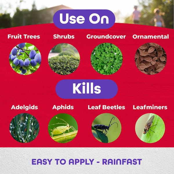 Annual Tree and Shrub Insect Control with Systemaxx, 128 oz. Concentrate, Year Long Protection and Insect Killer