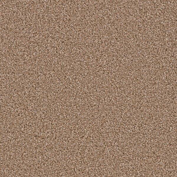 Home Decorators Collection Carpet Sample - Soundscape II - Color Caroline Texture 8 in. x 8 in.