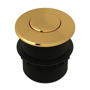 Garbage Disposal Air Switch in Unlacquered Brass