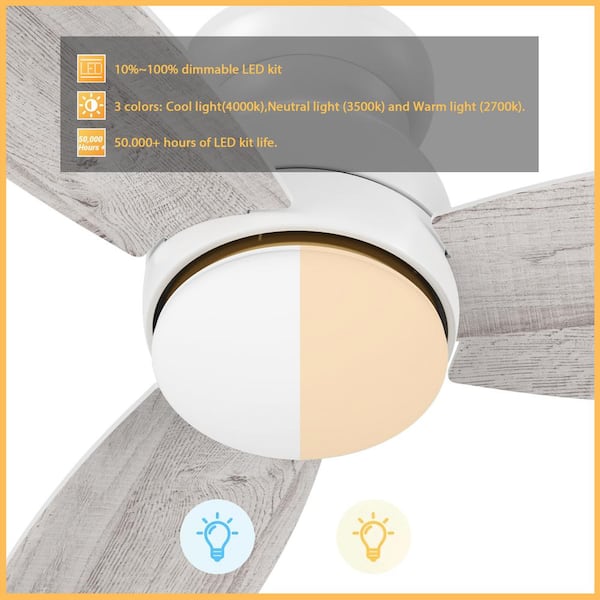 CARRO Arran 48 in. Color Changing Integrated LED Indoor Matte