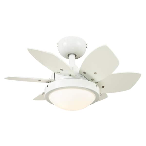 Ciata Lighting 24 Inch Quince Ceiling Fan with LED Light Fixture–2 Pack 