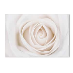12 in. x 19 in. "White Rose" by Cora Niele Printed Canvas Wall Art