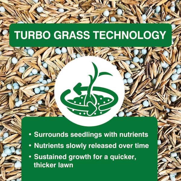 Vigoro 6 lbs. Turbo Grass Tall Fescue Combination Grass Seed and