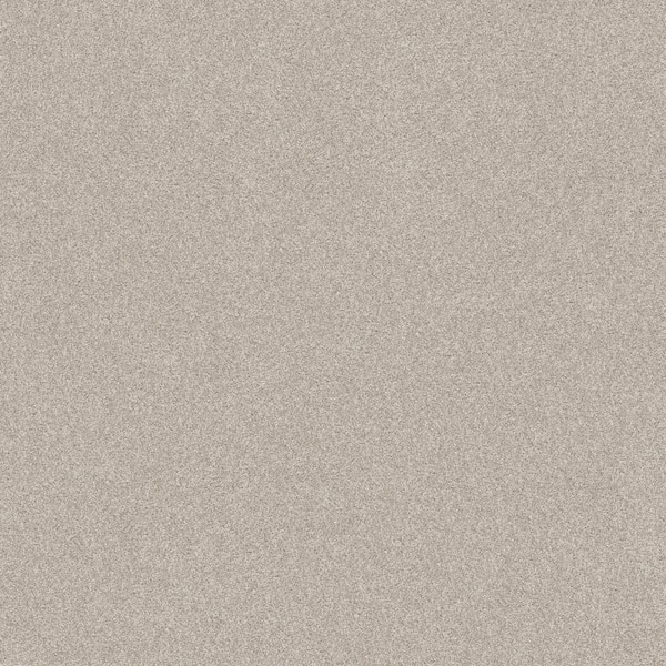 Lifeproof Coastal Charm I - Color Feather Beige 42 oz. Nylon Texture Installed Carpet