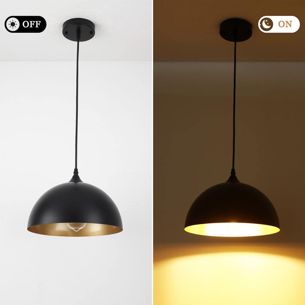 Black Metal Dome Pendant Light with Adjustable Height