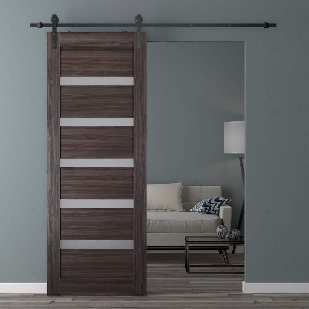 Leora Gray Oak 31.75" x 95.24" Frosted Glass Barn Door Kit