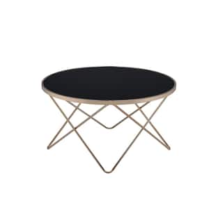 Valora 34 in. Black/Champagne Medium Round Glass Coffee Table with Storage