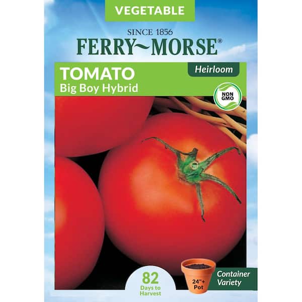 Ferry-Morse Tomato Big Boy Hybrid Pelleted Heirloom Fruit Seed