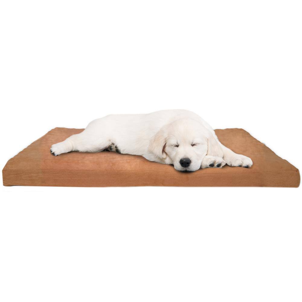 big paws dog bed