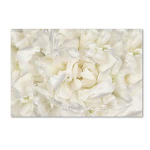 12 in. x 19 in. "White Peony Flower" by Cora Niele Printed Canvas Wall Art