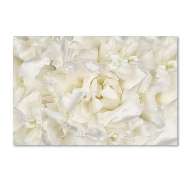 Trademark Fine Art 12 in. x 19 in. "White Peony Flower" by Cora Niele Printed Canvas Wall Art