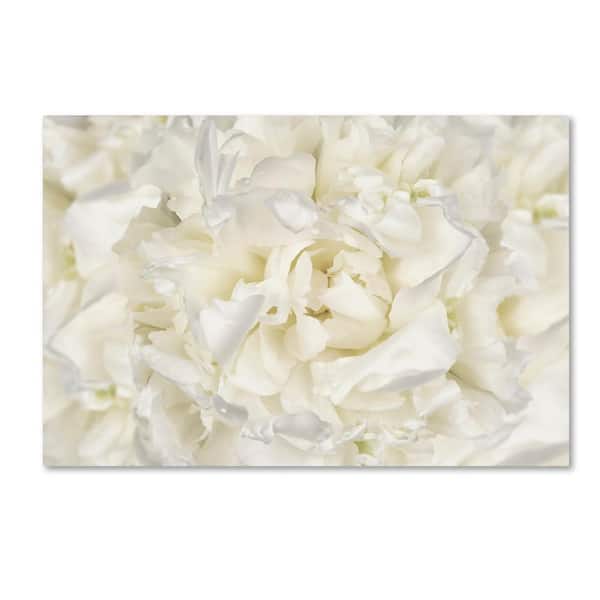 Trademark Fine Art 16 in. x 24 in. "White Peony Flower" by Cora Niele Printed Canvas Wall Art