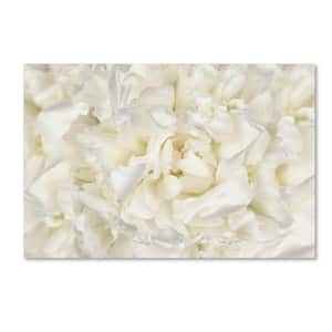 12 in. x 19 in. ''White Peony Flower'' by Cora Niele Printed Canvas Wall Art
