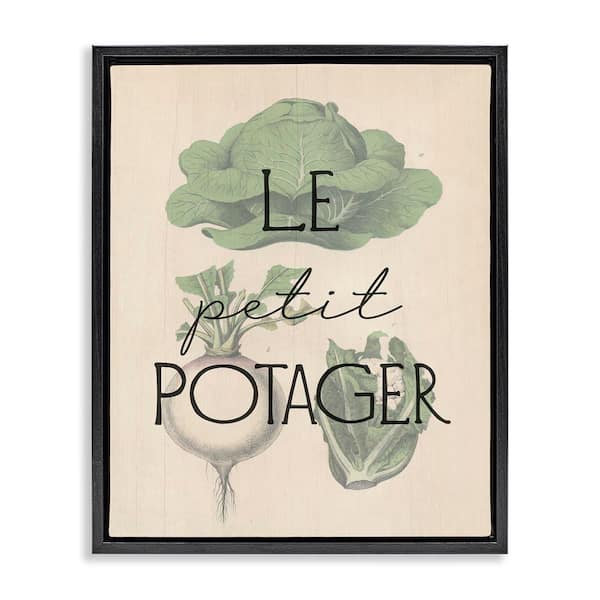 Stupell Industries French Vegetable Garden by Daphne Polselli Black Floater Frame Food Graphic Art Print 31 in. x 25 in.