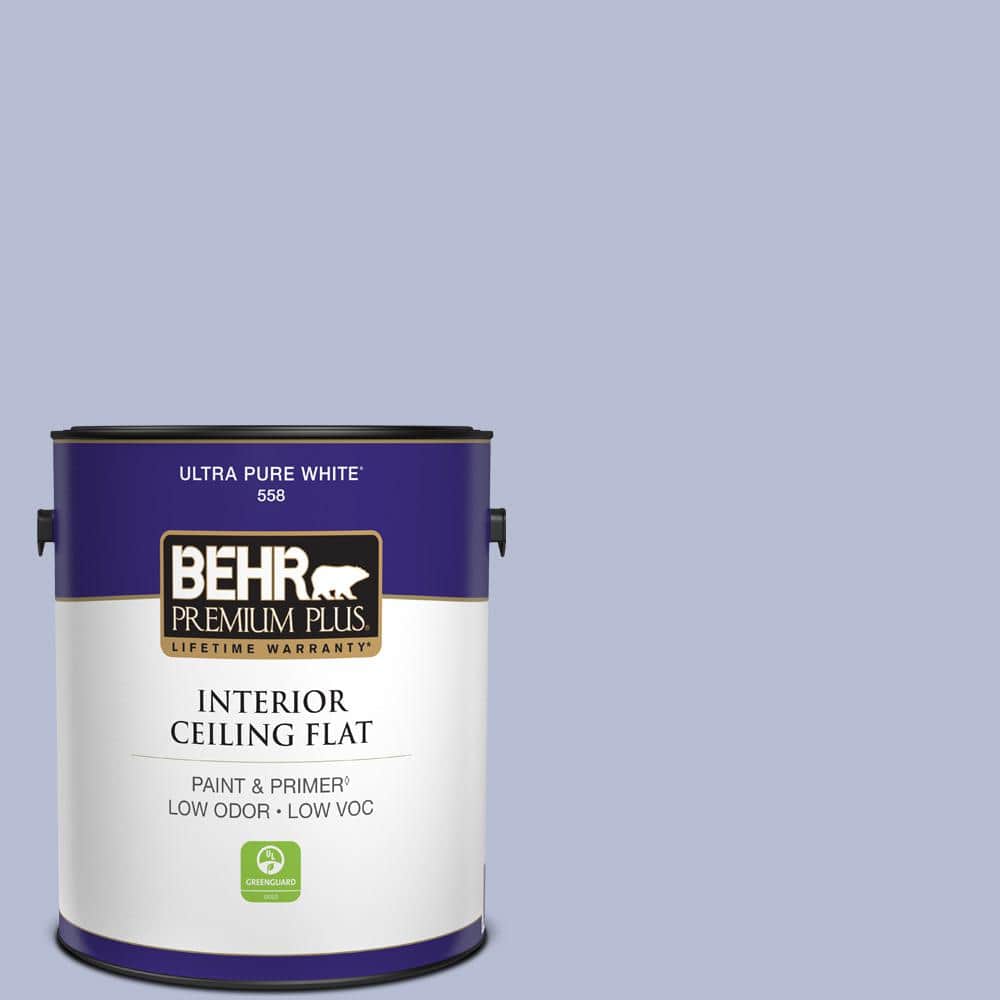 1 gal. #S540-2 Violet Vision Ceiling Flat Interior Paint price history on PriceWatchPro
