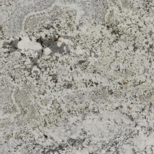 3 in. x 3 in. Granite Countertop Sample in Enchanted Forest