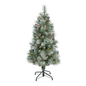 4 ft. Pre-Lit Frosted Tip British Columbia Mountain Pine Artificial Christmas Tree with 100 Clear Lights, Pine Cones