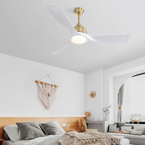 Mini--Socket Fan Light Ceiling Fans With Lights And Remote For Sale