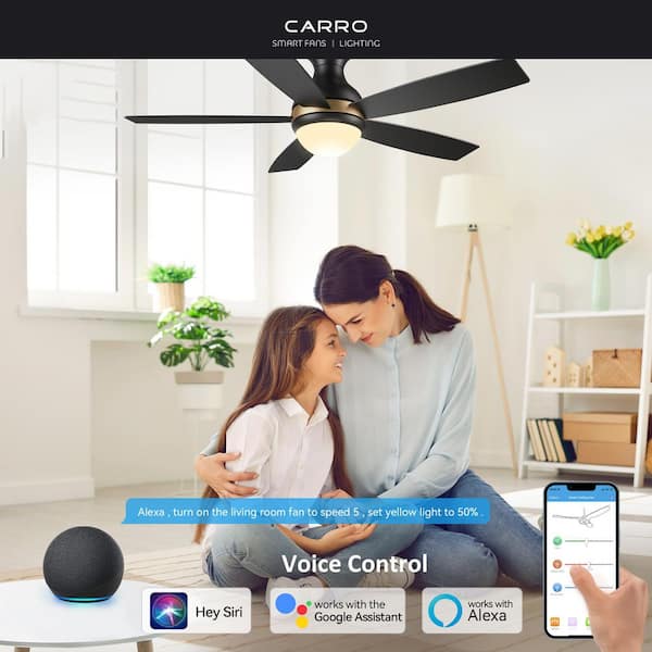 Fannin II 52 in. Dimmable LED Indoor/Outdoor Black Smart Ceiling Fan with Light and Remote, Works with Alexa/Google Home