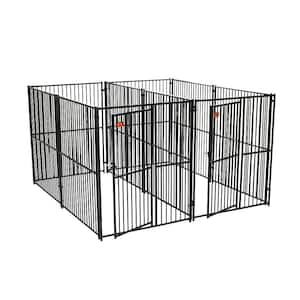 Lucky Dog 6 ft. H x 5 ft. W x 10 ft. L European Style 2 Run Kennel with Common Wall