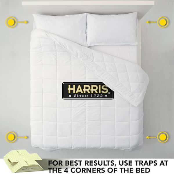 Are Bed Bug Traps Effective in Eliminating Bedbugs?, by Bedbugstoreusa