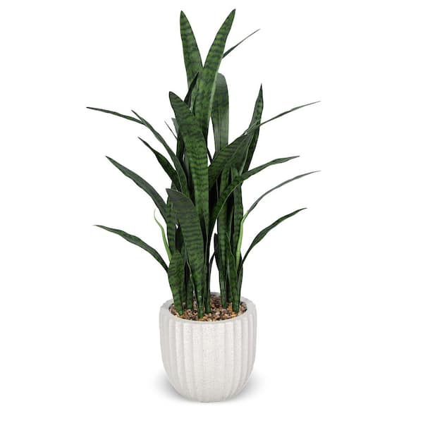 Unbranded Botanical 4.9 ft. Artificial Sansevieria in Pot