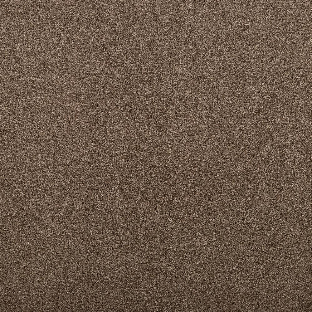 8 in. x 8 in. Texture Carpet Sample - Hainsridge -Color Saddle price history on PriceWatchPro