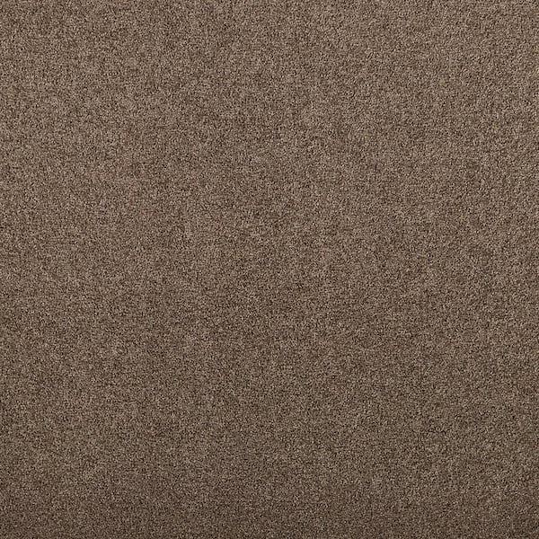 Lifeproof with Petproof Technology 8 in. x 8 in. Texture Carpet Sample - Hainsridge -Color Saddle