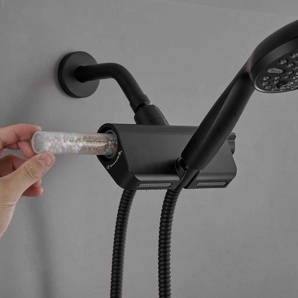 Matte Black Dual Shower Head with Handheld and Stainless Steel Hose