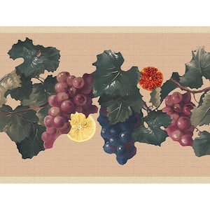 Falkirk Dandy II Purple Green Red Grapes Fruits Peel and Stick Wallpaper Border