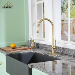 Single Handle Pull-Down Sprayer Kitchen Faucet with Dual-Function Pull out Sprayer head, Stainless Steel in Brushed Gold