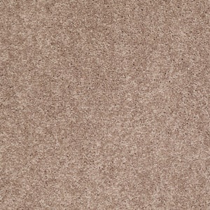 Palmdale I - Antique Gold - Brown 17.6 oz. Polyester Texture Installed Carpet