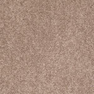 Palmdale II - Antique Gold - Brown 31.2 oz. Polyester Texture Installed Carpet
