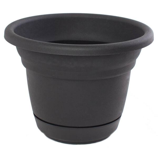 Bloem 12 in. Black Plastic Tahoe Planter (6-Pack)