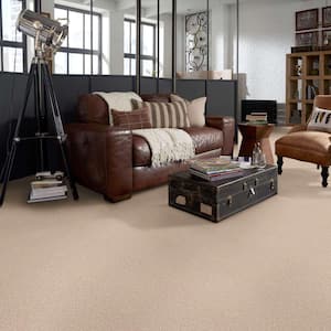 Palmdale I - Lavish Bronze - Brown 17.6 oz. Polyester Texture Installed Carpet