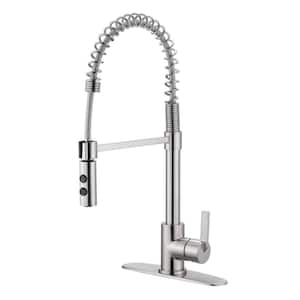 Euro Spring Single Handle Pull-Down Sprayer Kitchen Faucet with Accessories Rust and Spot Resist in Brushed Nickel