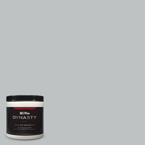 BEHR DYNASTY 8 oz. #PPF-26 Polished Rock Matte Stain-Blocking Interior/Exterior Paint and Primer Sample