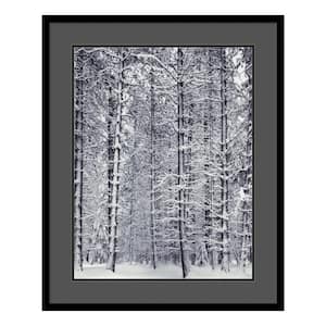 27 in. W x 33 in. H 'Pine Forest in the Snow, Yosemite National Park' by Ansel Adams Printed Framed Wall Art